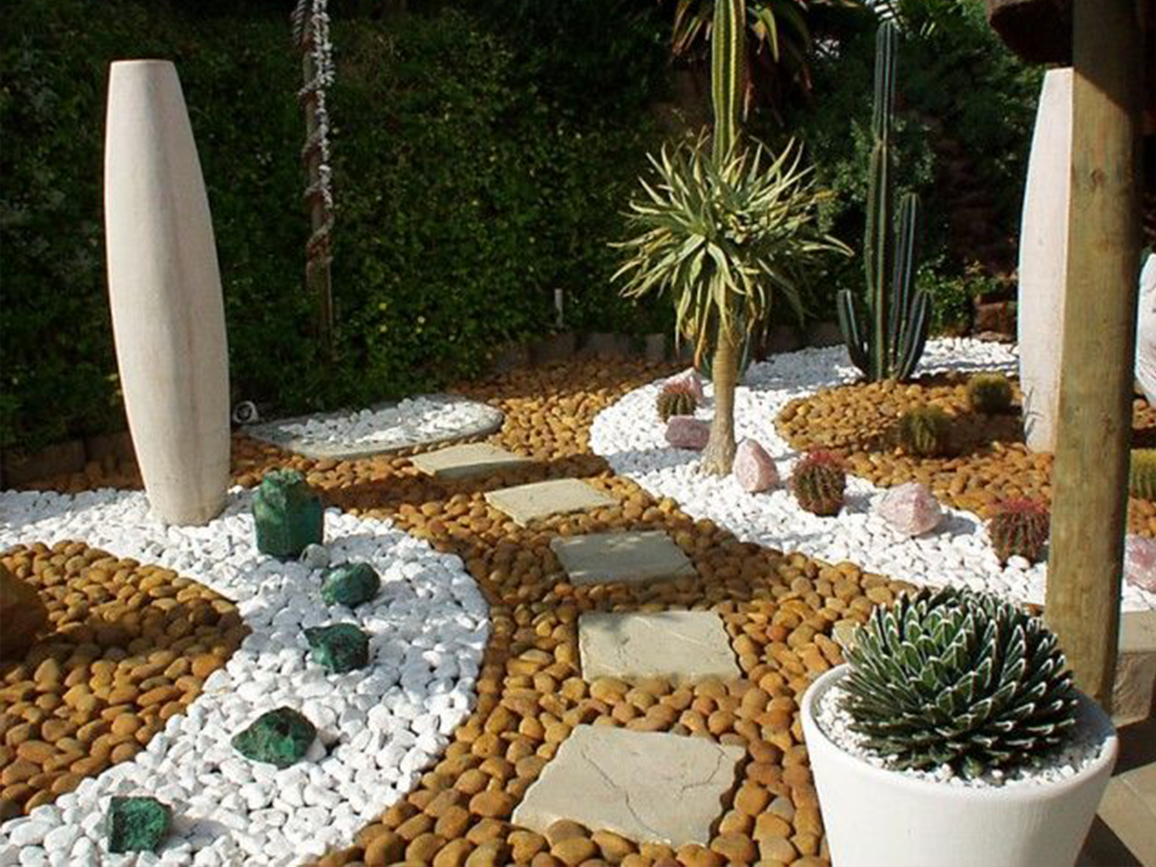 Best Fruit Plants Shop Sale In Chennai